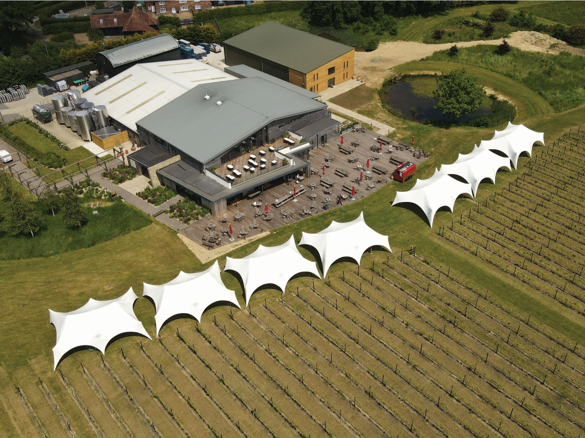 wine-garden-of-england-marquee-hire (1200x900)